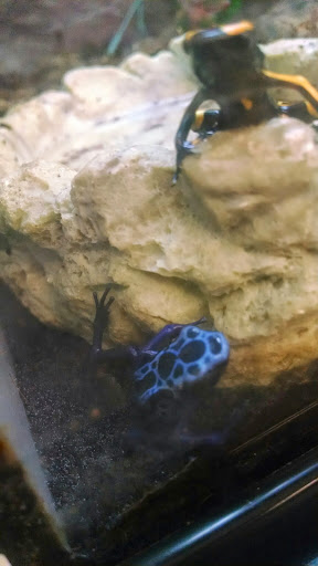 Pet Supply Store «Petco Animal Supplies», reviews and photos, 308 E Meighan Blvd, Gadsden, AL 35903, USA