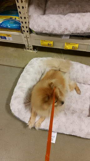 Pet Supply Store «PetSmart», reviews and photos, 4500 Mitchellville Rd, Bowie, MD 20716, USA