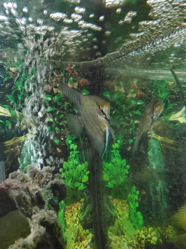 Pet Store «Pet Zone», reviews and photos, 1620 Marion-Mt Gilead Rd, Marion, OH 43302, USA