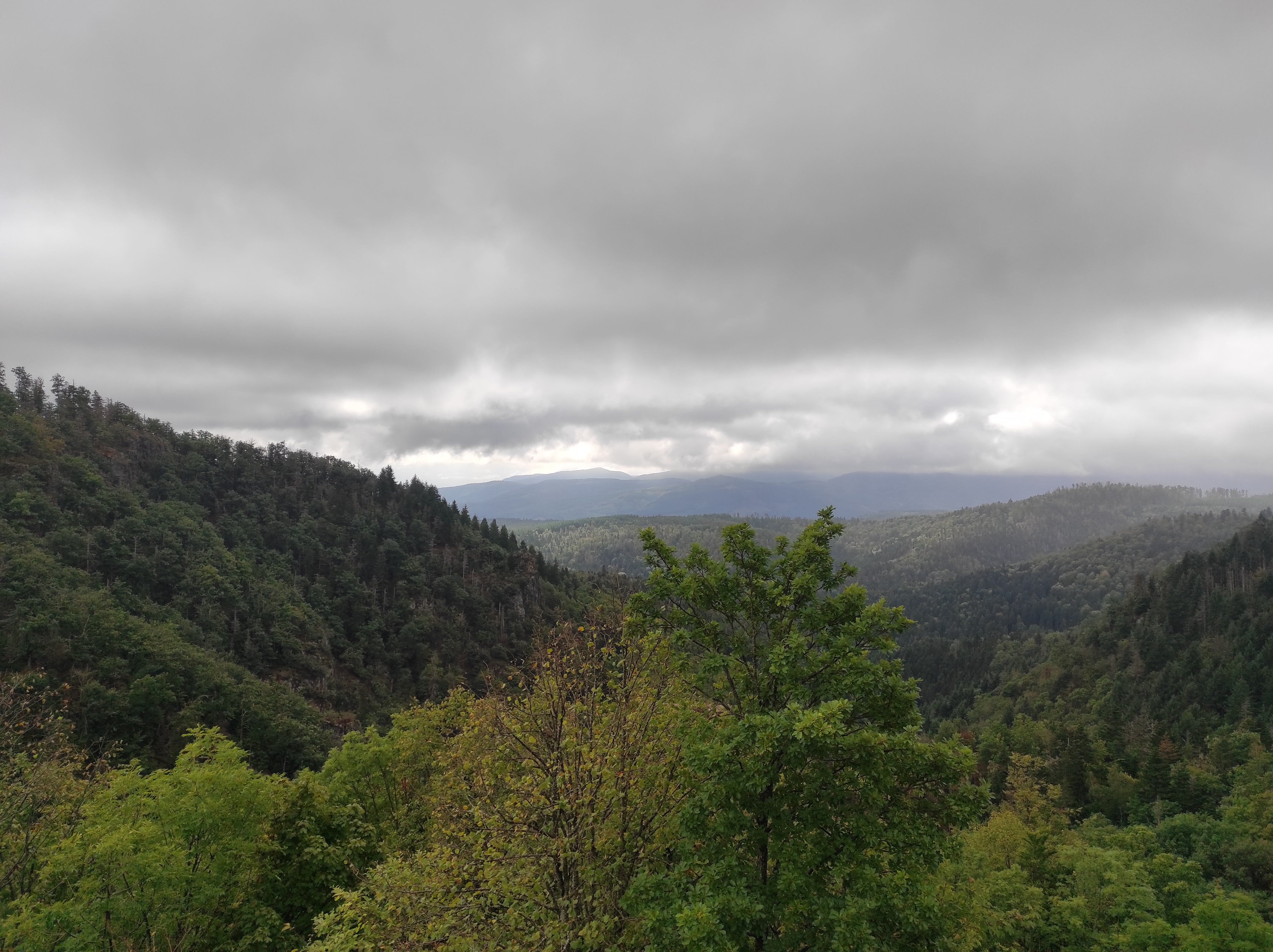 Photo n° 3 de l'avis de Jean-Yves. fait le 18/09/2022 à 12:44