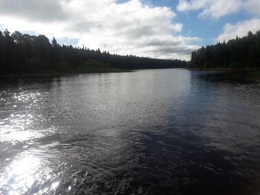 Donut Shop «Granny Donuts», reviews and photos, 1555 S Robert St, St Paul, MN 55118, USA