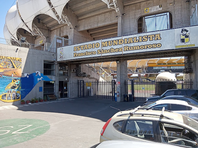 Estadio Municipal Francisco Sanchez Rumoroso - Campo de fútbol