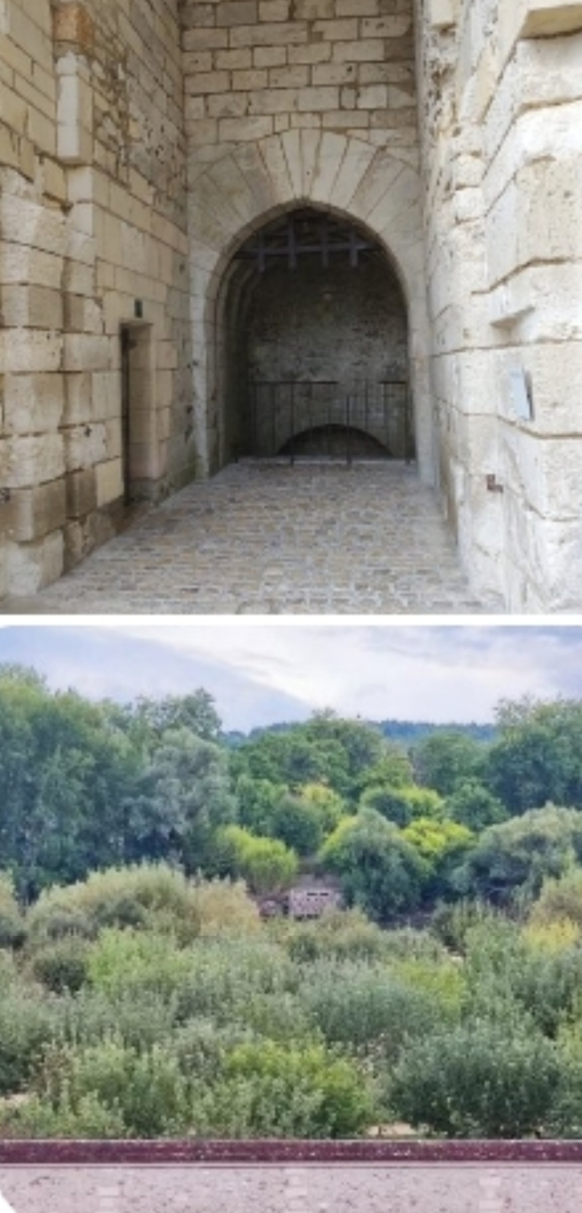 Photo n° 18 de l'avis de Laure.u fait le 19/12/2023 à 00:36