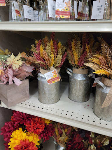 Home Goods Store «Christmas Tree Shops», reviews and photos, 1100-1300 N Galleria Dr, Middletown, NY 10941, USA