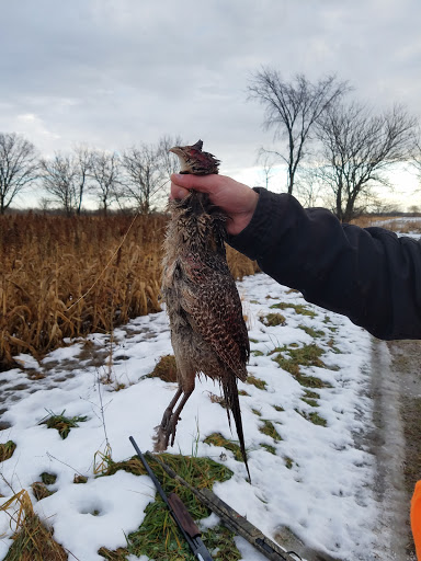 Hunting Club «Coon Creek Hunt Club», reviews and photos, 11050 Slough Rd, Garden Prairie, IL 61038, USA