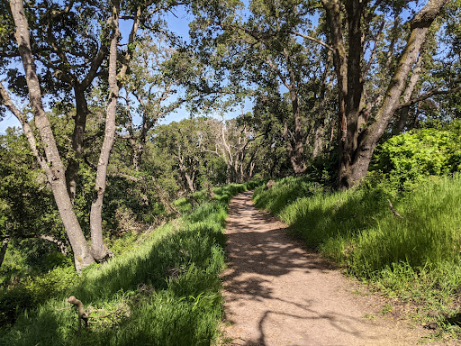 Heintz Open Space image