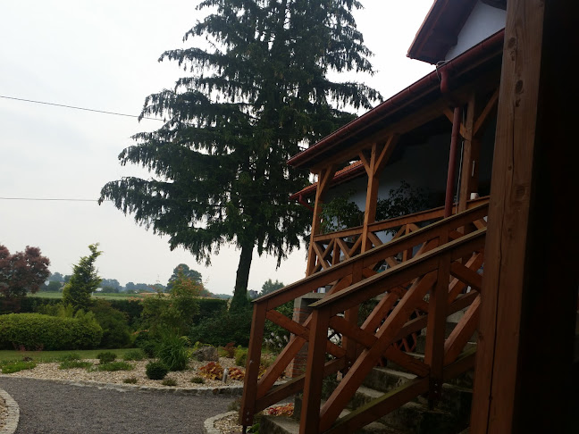 Tęczowy Ogród Rafał Wojcieszak