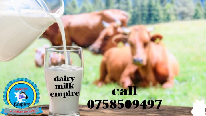 Dairy milk Empire