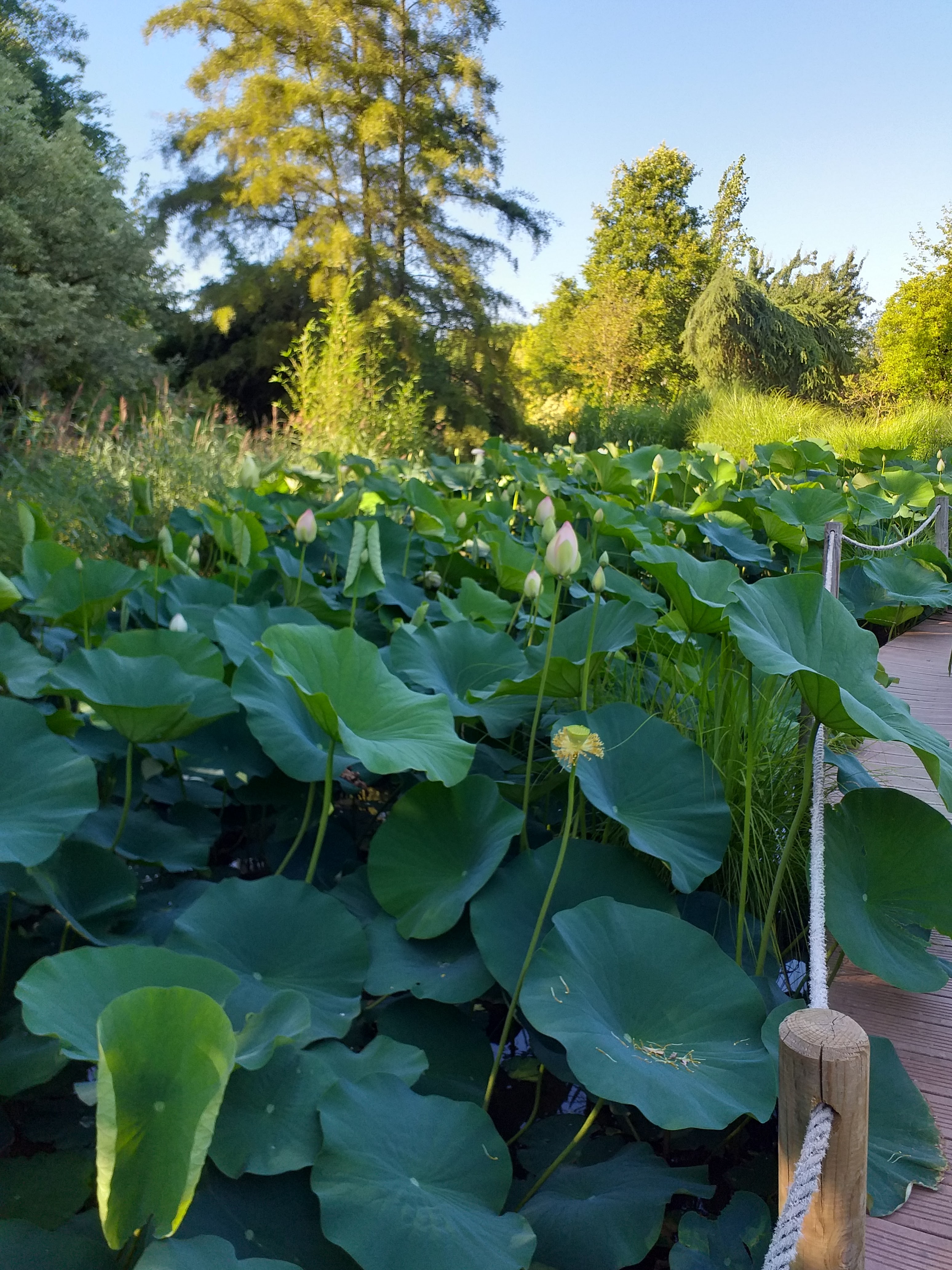 Photo n° 6 de l'avis de Stephane.i fait le 10/07/2019 à 23:40