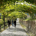 Photo n°6 de l'avis de Uri.r fait le 03/10/2022 à 14:27 sur le  Hotel Rural Casa dos Viscondes Várzea à Lamego