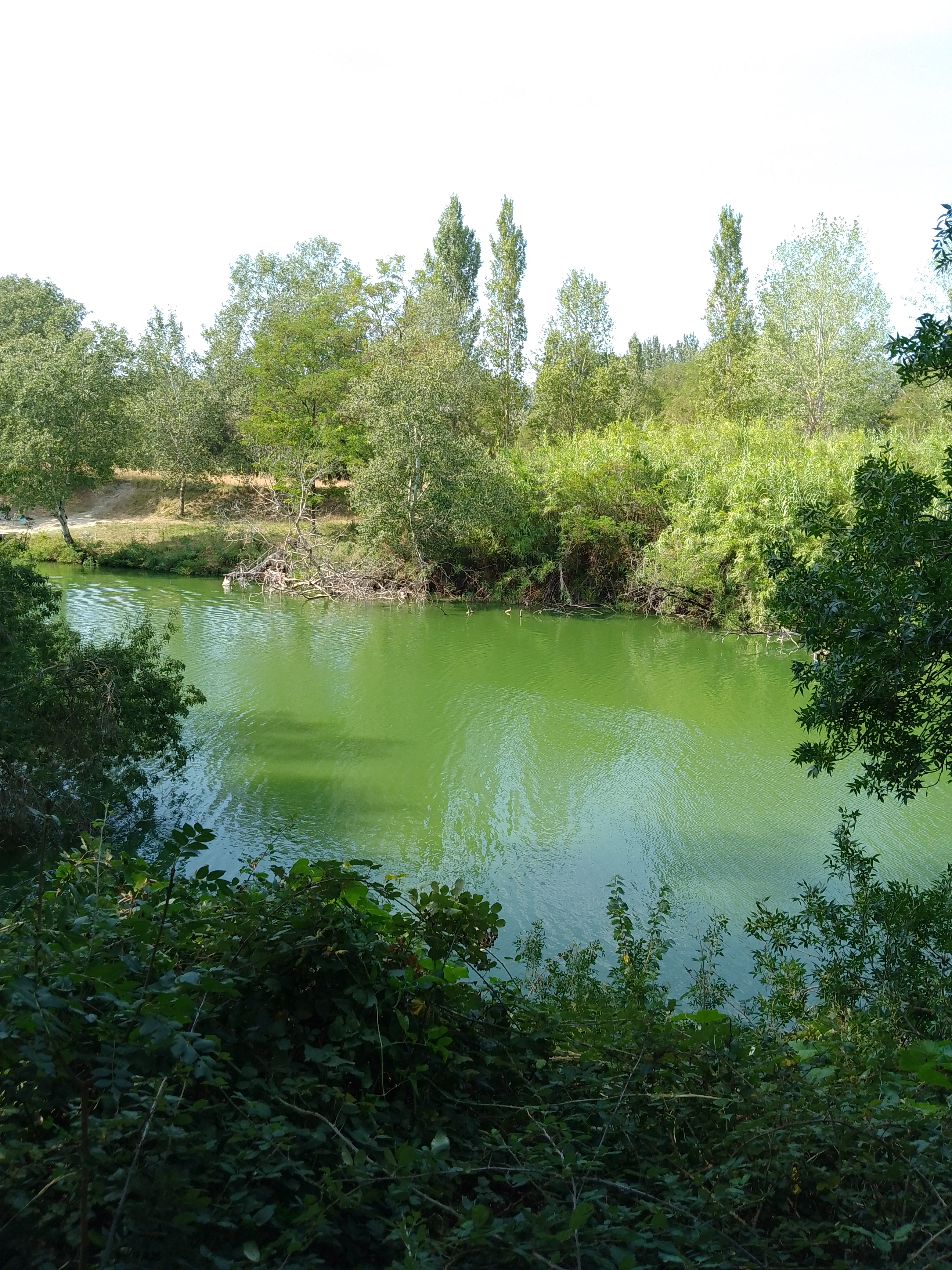 Photo n° 3 de l'avis de Minous.k fait le 30/08/2023 à 14:06