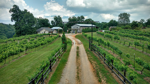 Vineyard «Lexington Vineyard», reviews and photos, 2000 Dog Hollow Rd, Lynnville, TN 38472, USA