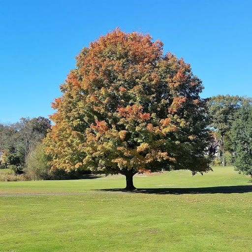 Golf Course «E. Gaynor Brennan Golf Course», reviews and photos, 451 Stillwater Ave, Stamford, CT 06902, USA