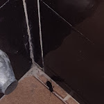 Photo n°1 de l'avis de Maori. fait le 09/10/2021 à 10:18 sur le  Hotel Vega à Perugia