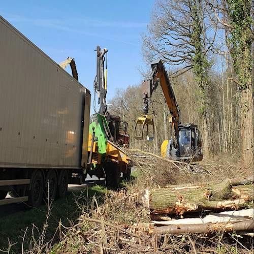 CARRON EXPLOITATION FORESTIERE à Courpalay