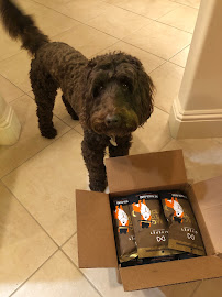 Posh Paws - Photo 7 - Car repair in Naples, FL, Bonita Springs