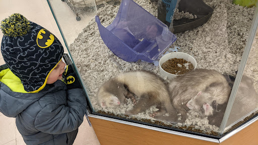 Pet Supply Store «Petco Animal Supplies», reviews and photos, 10511 S 15th St, Bellevue, NE 68123, USA