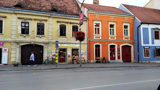 Turzay Németh Kft. V.A. - Sopron