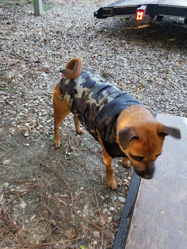 Pet Supply Store «Petco Animal Supplies», reviews and photos, 280 Kensington Blvd, Slidell, LA 70458, USA