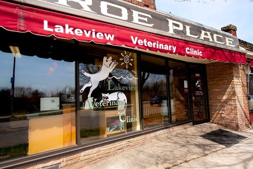 Lakeview Veterinary Clinic image
