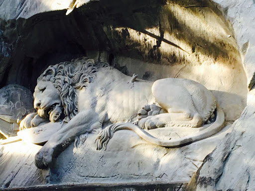 Coffee Shop «Calibre Coffee», reviews and photos, 100 W Higgins Rd, South Barrington, IL 60010, USA