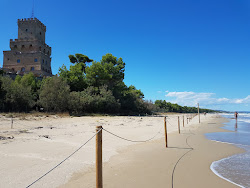 Spiaggia Torre del Cerrano'in fotoğrafı ve yerleşim