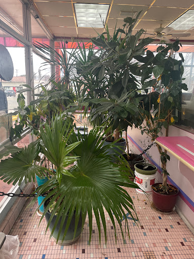 Dessert Shop «Elias Donuts», reviews and photos, 19231 Grand River Ave, Detroit, MI 48223, USA