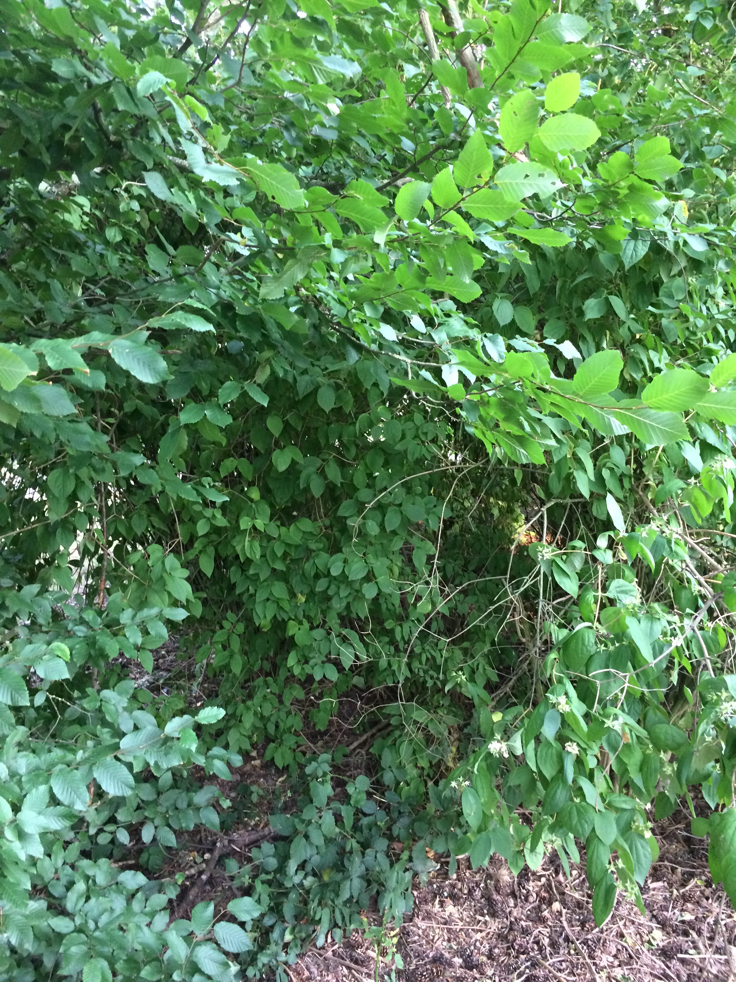 Photo n° 2 de l'avis de Adama.A fait le 30/07/2017 à 15:59