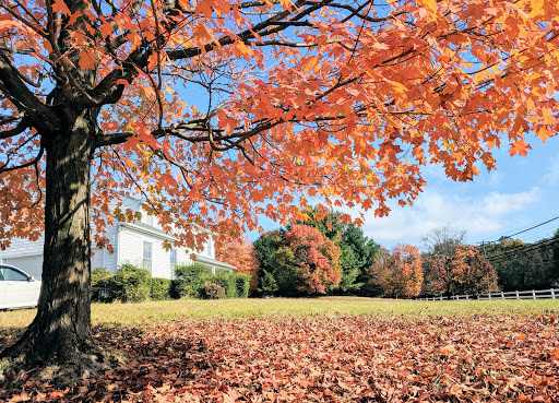 Recreation Center «Marilyn J Praisner Community Recreation Center», reviews and photos, 14906 Old Columbia Pike, Burtonsville, MD 20866, USA