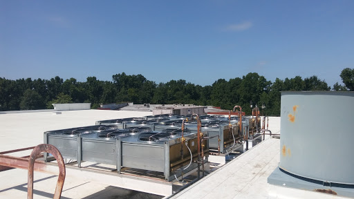 Grocery Store «BI-LO», reviews and photos, 508 Lamar Hwy, Darlington, SC 29532, USA