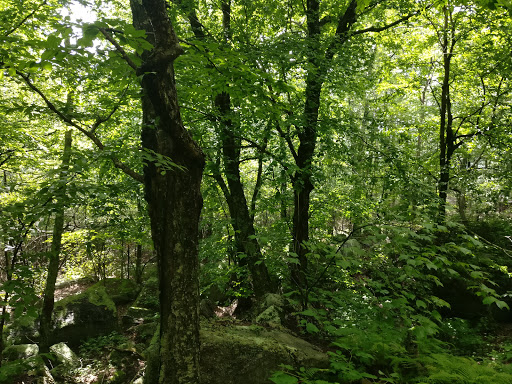 Tourist Attraction «Ice Caves», reviews and photos, Sams Point Rd, Pine Bush, NY 12566, USA