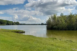 Dog Beach Gaasperplas image