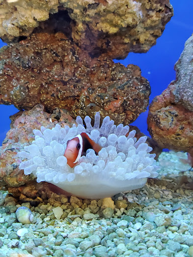 Pet Supply Store «Petco Animal Supplies», reviews and photos, 4491 Kirkwood Hwy, Wilmington, DE 19808, USA