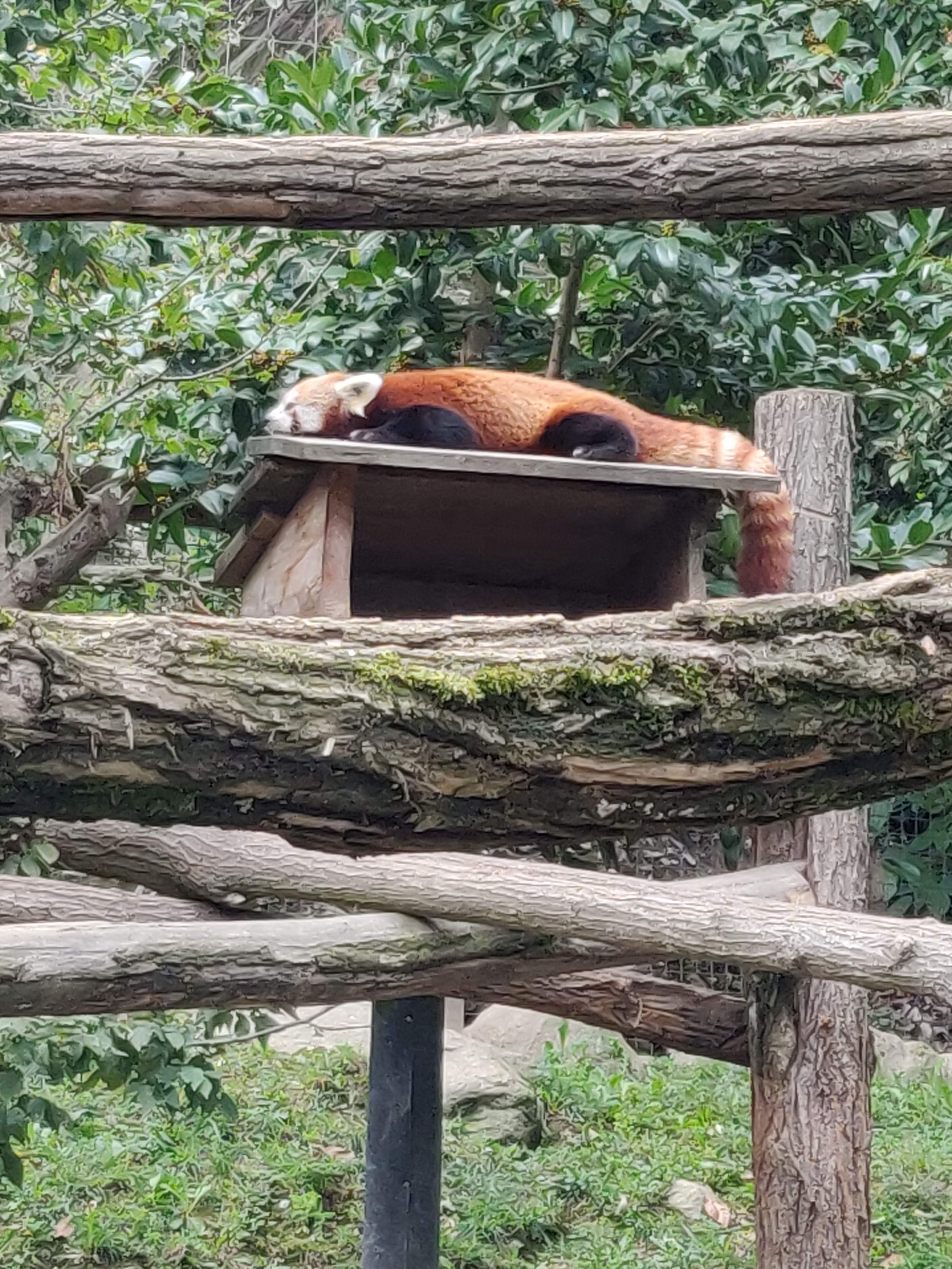 Photo n° 5 de l'avis de Kelly.e fait le 06/10/2020 à 20:25