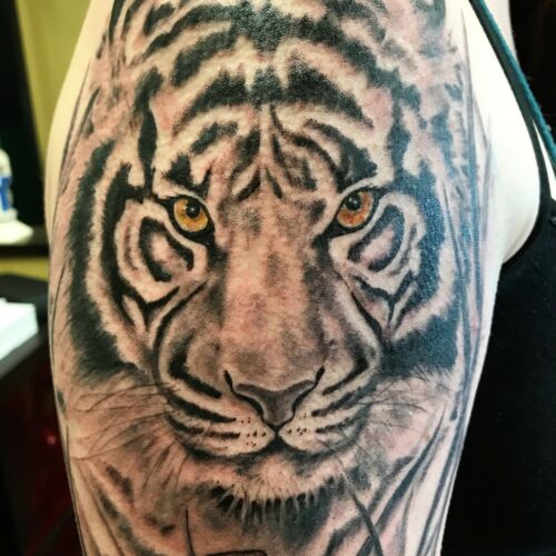 Tattoo Shop «Cactus Tattoo», reviews and photos, 307 N Riverfront Dr, Mankato, MN 56001, USA