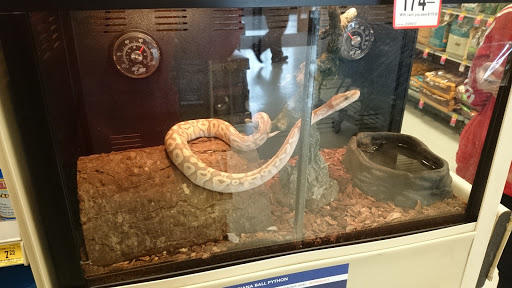 Pet Supply Store «PetSmart», reviews and photos, 1125 Hover St, Longmont, CO 80501, USA