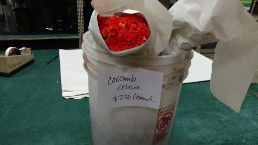 Florist «Portland Flower Market», reviews and photos, 3624 N Leverman St, Portland, OR 97217, USA