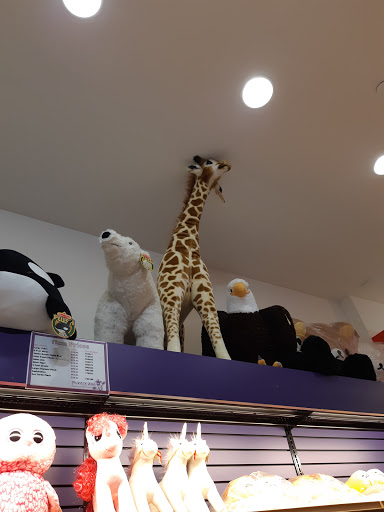 Toy Store «Puzzle Zoo», reviews and photos, 3333 Bristol St #1048, Costa Mesa, CA 92626, USA