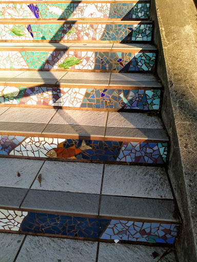 Tourist Attraction «16th Avenue Tiled Steps», reviews and photos, 16th Ave, San Francisco, CA 94122, USA