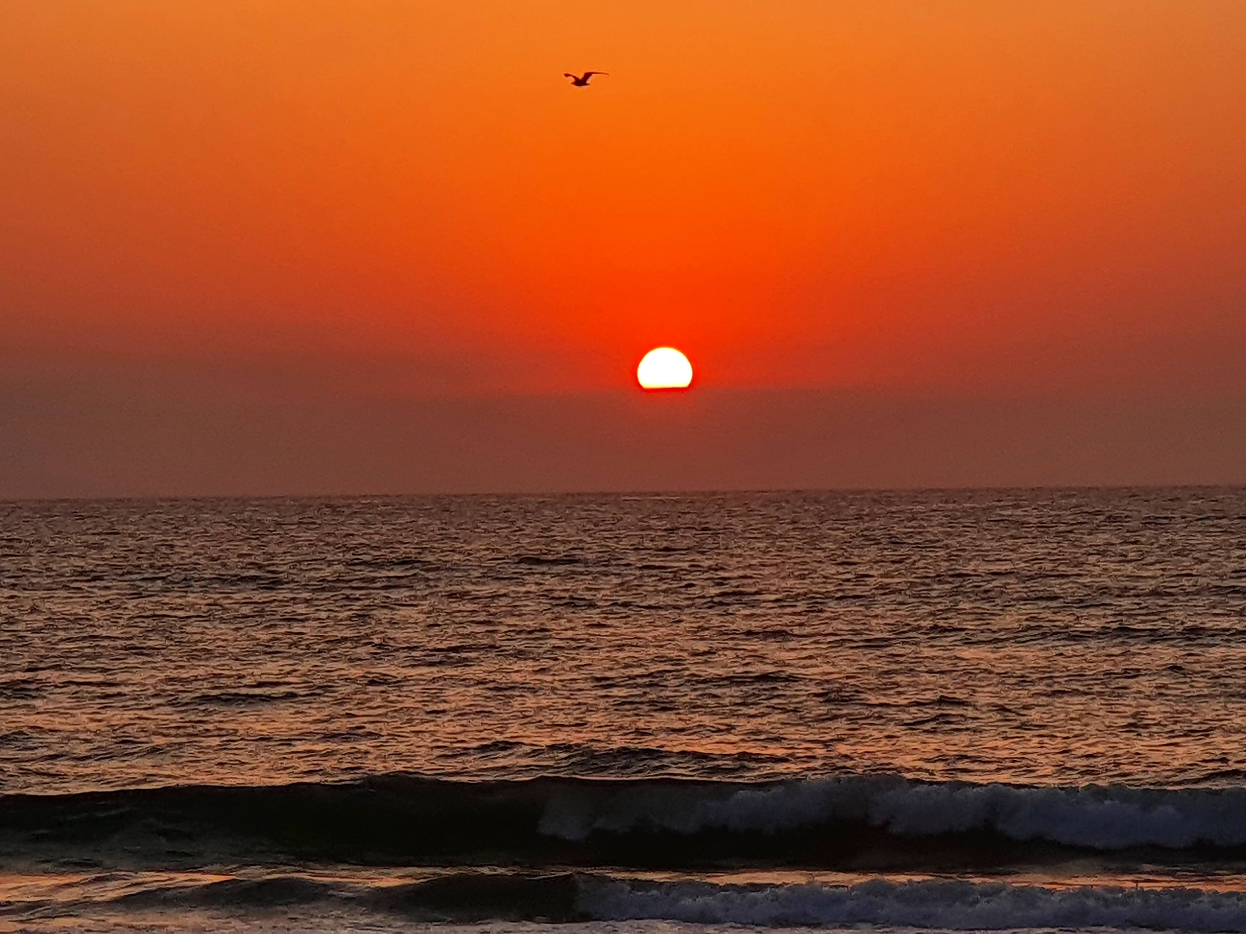 Photo n° 2 de l'avis de Frédéric.e fait le 18/08/2021 à 06:18
