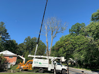 Fish Lawn and Tree, LLC - Photo 2 - Car repair in Townsend, DE, Dover