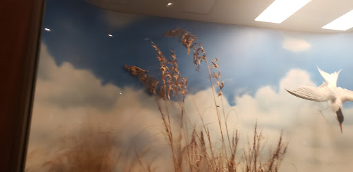 Planetarium «Fernbank Science Center», reviews and photos, 156 Heaton Park Dr, Atlanta, GA 30307, USA