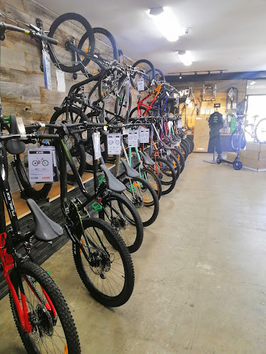 Evo Cycles Te Awamutu - Bicycle store