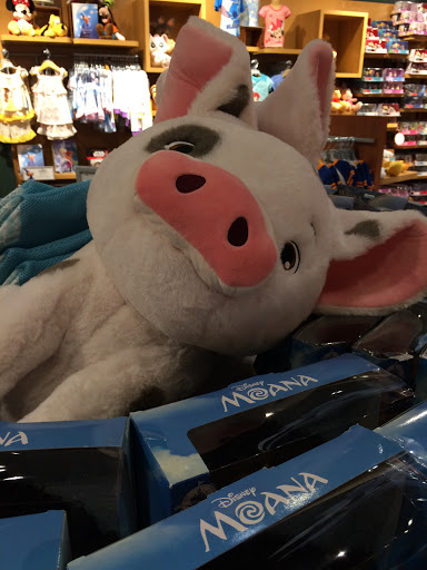 Toy Store «Disney Store», reviews and photos, 4818 River City Dr, Jacksonville, FL 32246, USA