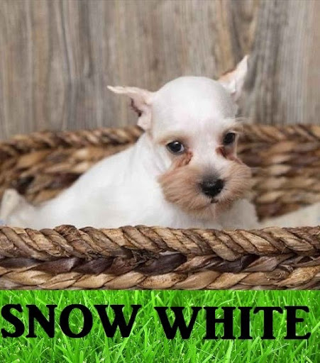 Pet Store «Pet Express», reviews and photos, 100 Independence Way, Danvers, MA 01923, USA