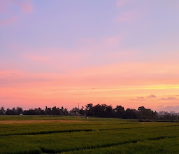 Prima Rasa Gegutu photo
