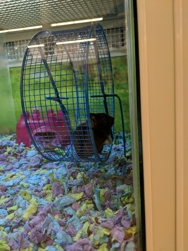 Pet Supply Store «PetSmart», reviews and photos, 5336 Westpointe Plaza Drive, Columbus, OH 43228, USA