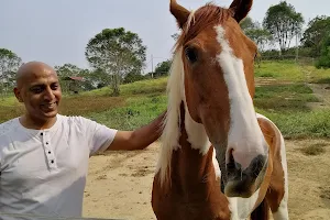 Cape Cavallho Equestrian Club image