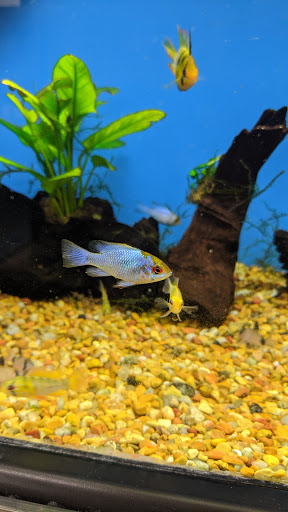 Pet Supply Store «Petco Animal Supplies», reviews and photos, 22000 Dulles Retail Plaza #110, Sterling, VA 20166, USA