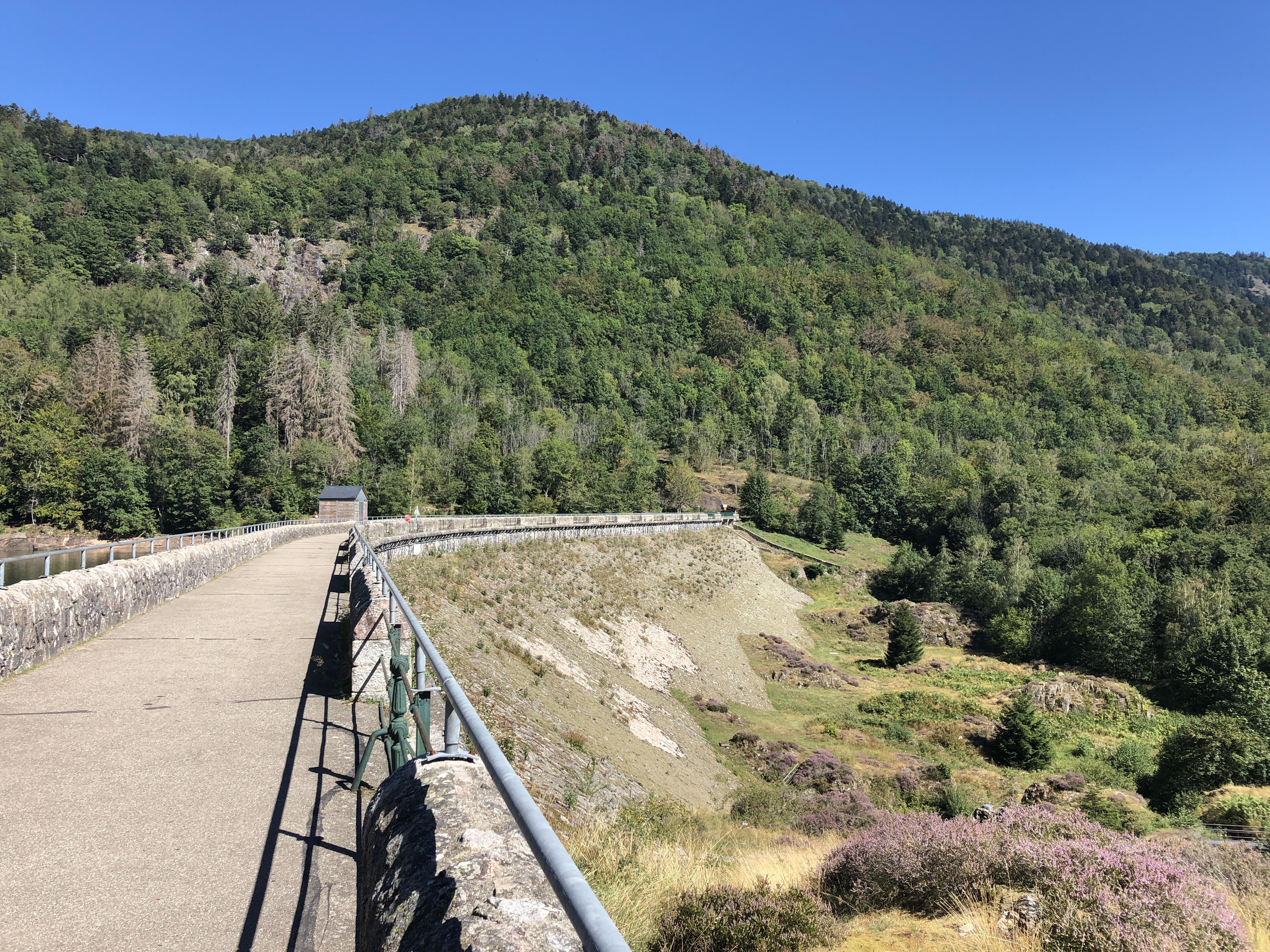 Photo n° 1 de l'avis de Raoul.t fait le 20/08/2020 à 20:20